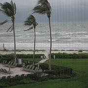 Picture 079